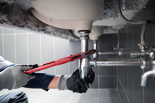 Licensed Garbage Disposal Repair service in Hingham, WI - Street Wise - Plumbing